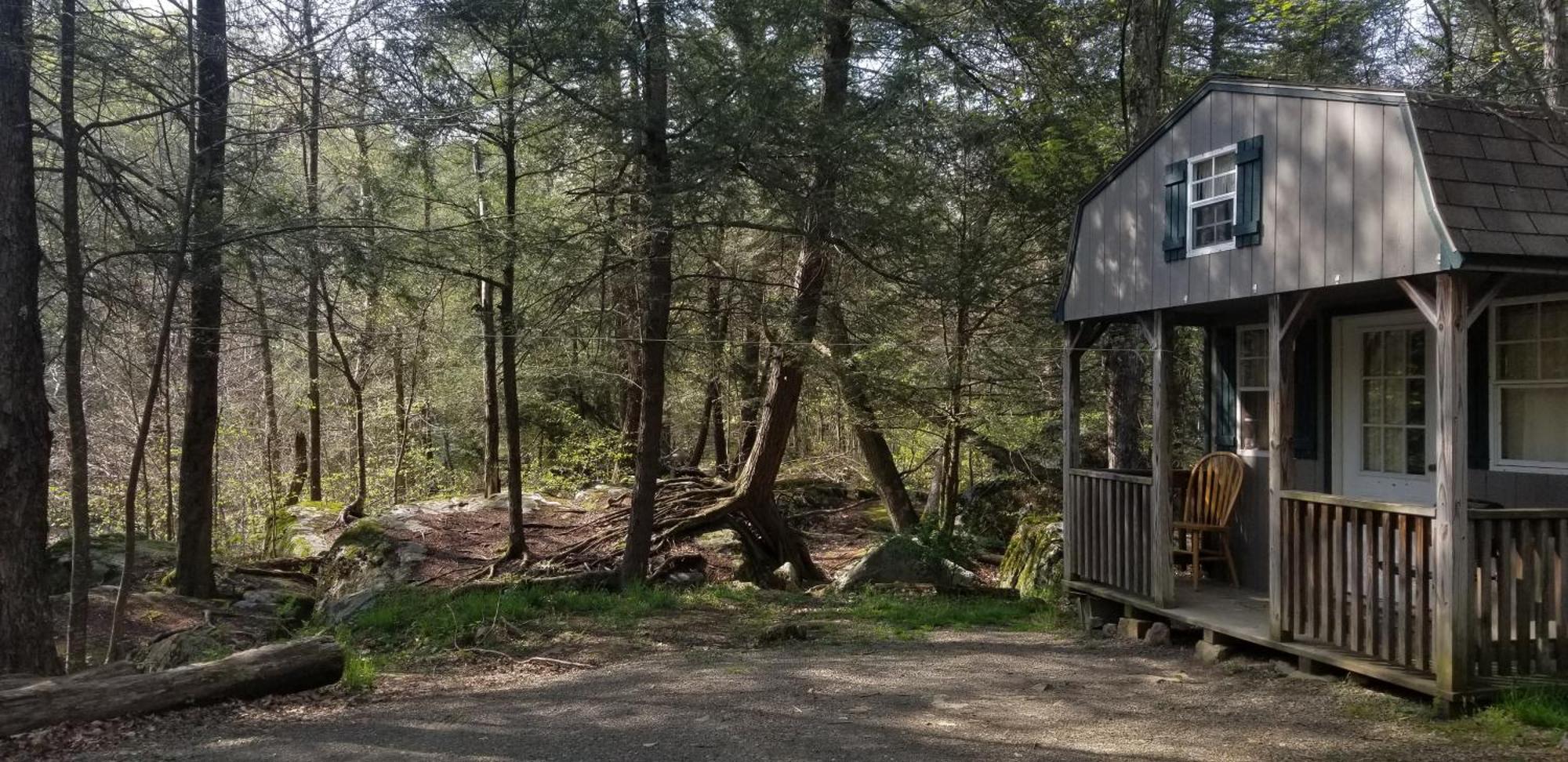 Abrams Creek Campground Mount Storm Zewnętrze zdjęcie