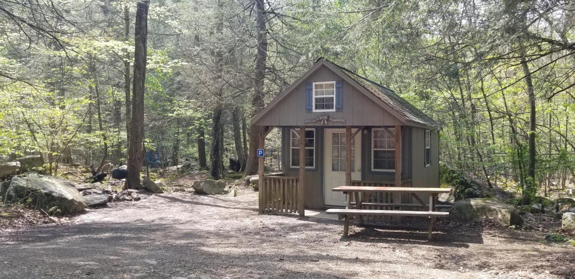 Abrams Creek Campground Mount Storm Zewnętrze zdjęcie